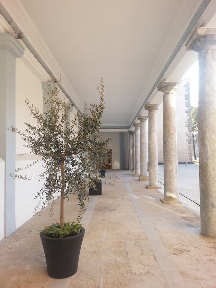 Museo Diocesano - spazio esterno