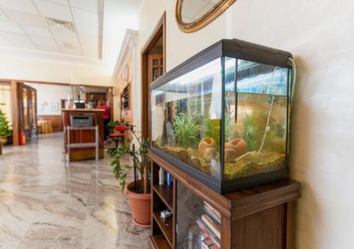 Hotel Villa delle Rose - Hole
