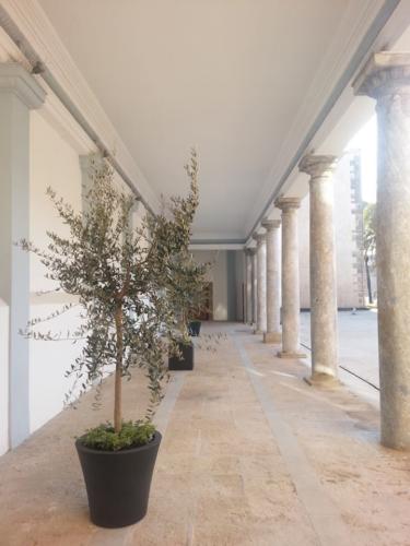 Museo Diocesano - spazio esterno